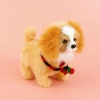 An electronic plush toy with a light and a golden thread dog that can chirp and walk, a realistic plush toy for children, an electronic pet, and a cute gift for children details Picture